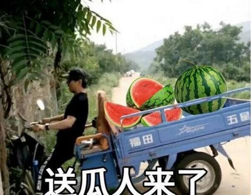 娱乐新闻 第6页